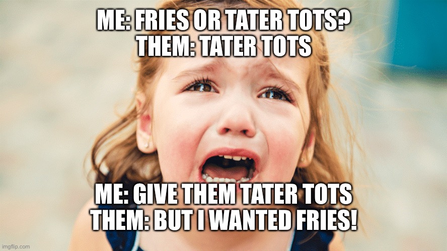baby crying toddler | ME: FRIES OR TATER TOTS?
THEM: TATER TOTS; ME: GIVE THEM TATER TOTS
THEM: BUT I WANTED FRIES! | image tagged in baby crying toddler,parenting | made w/ Imgflip meme maker