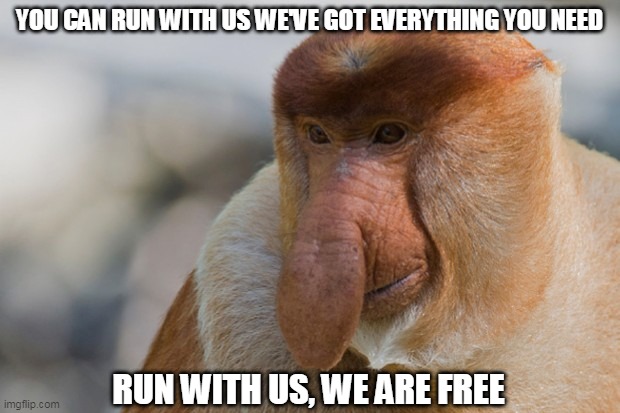 monkeys Memes & GIFs - Imgflip