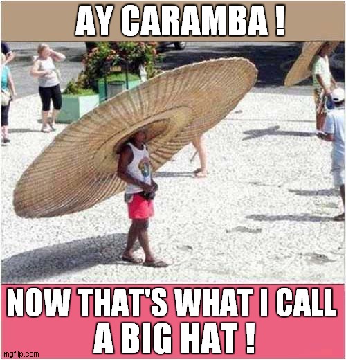 Too Make You Smile - A Massive Sombrero ! | AY CARAMBA ! A BIG HAT ! NOW THAT'S WHAT I CALL | image tagged in big,sombrero | made w/ Imgflip meme maker