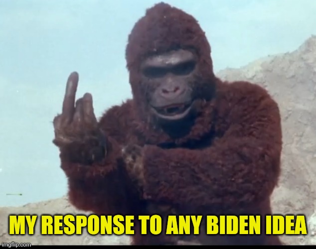 The Rare Gorilla Middle Finger | MY RESPONSE TO ANY BIDEN IDEA | image tagged in the rare gorilla middle finger | made w/ Imgflip meme maker