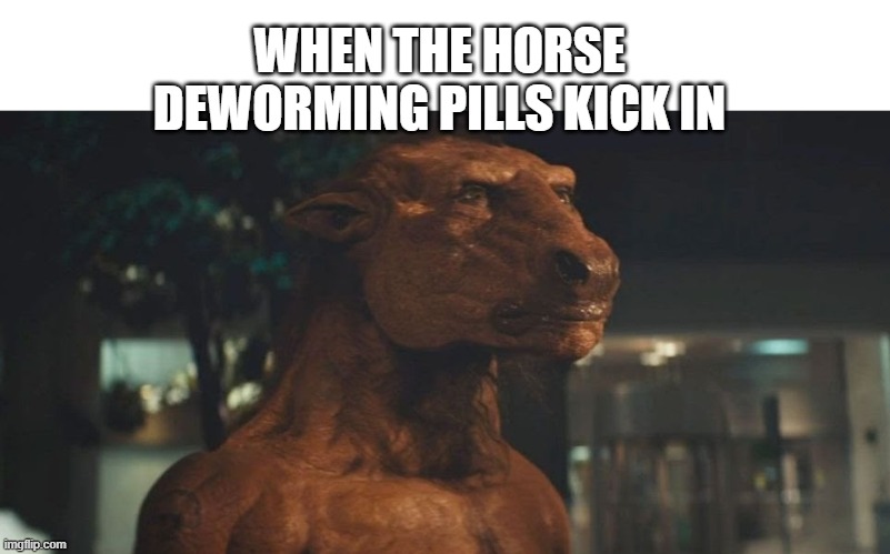 WHEN THE HORSE DEWORMING PILLS KICK IN | made w/ Imgflip meme maker