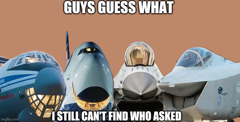 Me and the planes | GUYS GUESS WHAT; I STILL CAN'T FIND WHO ASKED | image tagged in me and the planes | made w/ Imgflip meme maker