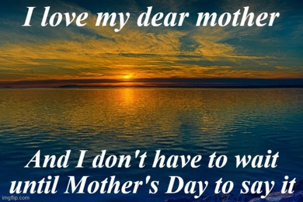 Let it be known. I LOVE MY MOM! | image tagged in mom,i love you,beautiful | made w/ Imgflip meme maker