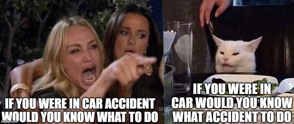woman yelling at cat | IF YOU WERE IN CAR ACCIDENT WOULD YOU KNOW WHAT TO DO IF YOU WERE IN CAR WOULD YOU KNOW WHAT ACCIDENT TO DO | image tagged in woman yelling at cat | made w/ Imgflip meme maker
