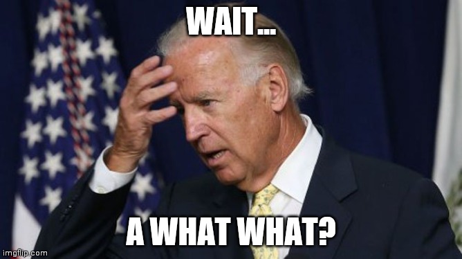 Joe Biden worries | WAIT... A WHAT WHAT? | image tagged in joe biden worries | made w/ Imgflip meme maker