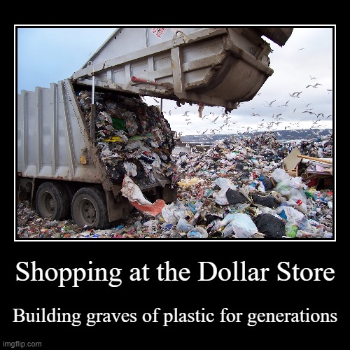 Thoughts on dollar store | image tagged in funny,demotivationals | made w/ Imgflip demotivational maker