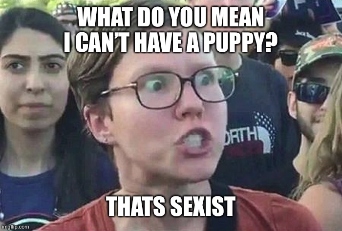 Triggered Liberal | WHAT DO YOU MEAN I CAN’T HAVE A PUPPY? THATS SEXIST | image tagged in triggered liberal | made w/ Imgflip meme maker