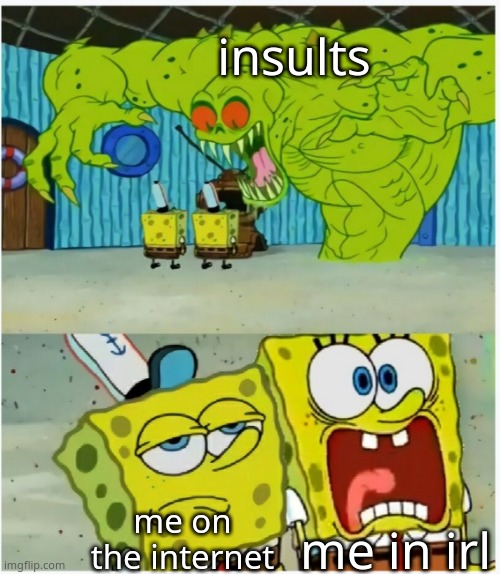 SpongeBob SquarePants scared but also not scared | insults; me in irl; me on the internet | image tagged in spongebob squarepants scared but also not scared | made w/ Imgflip meme maker