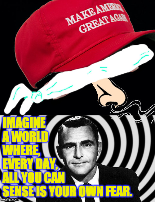 A world of lies and other evil. | image tagged in memes,fear,maga,serling,imagination,self loathing | made w/ Imgflip meme maker