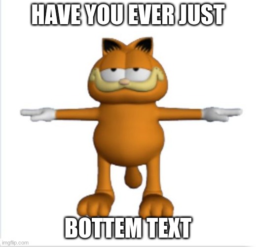 ya know what i mean | HAVE YOU EVER JUST; BOTTEM TEXT | image tagged in garfield t-pose | made w/ Imgflip meme maker