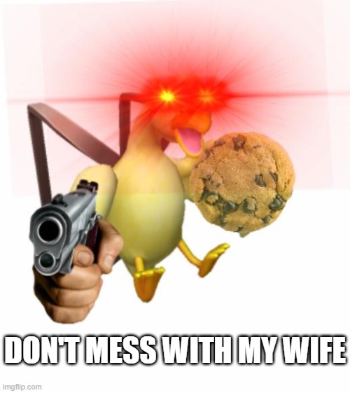 DON'T MESS WITH MY WIFE | DON'T MESS WITH MY WIFE | image tagged in duck,funny meme,amogus,gun,brazil | made w/ Imgflip meme maker