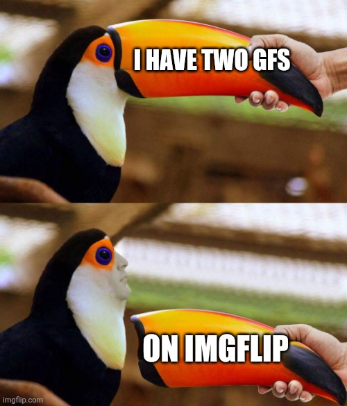 Toucan Beak | I HAVE TWO GFS; ON IMGFLIP | image tagged in toucan beak | made w/ Imgflip meme maker