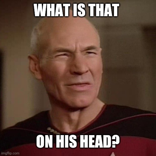 Patrick Stewart squint | WHAT IS THAT ON HIS HEAD? | image tagged in patrick stewart squint | made w/ Imgflip meme maker