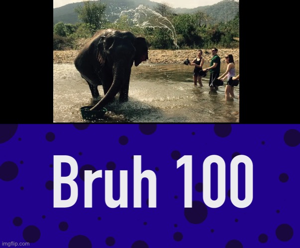 Bruh 100 | image tagged in bruh 100 | made w/ Imgflip meme maker