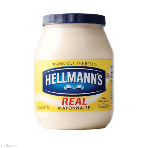 MAYONNAISE | image tagged in mayonnaise | made w/ Imgflip meme maker