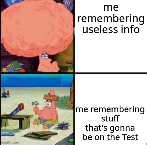 patrick big brain | me remembering useless info; me remembering stuff that's gonna be on the Test | image tagged in patrick big brain | made w/ Imgflip meme maker