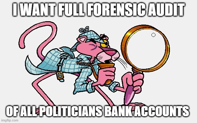 Truth | I WANT FULL FORENSIC AUDIT; OF ALL POLITICIANS BANK ACCOUNTS | image tagged in pink panther,truth,political meme,justice | made w/ Imgflip meme maker