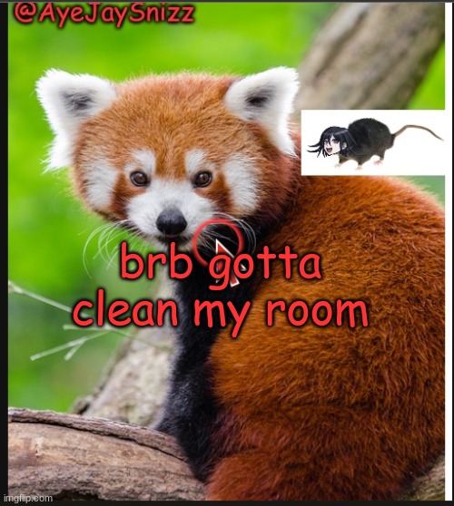 AyeJaySnizz Red Panda Announcement | brb gotta clean my room | image tagged in ayejaysnizz red panda announcement | made w/ Imgflip meme maker