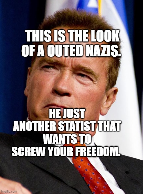 Arnold Schwarzenegger | THIS IS THE LOOK OF A OUTED NAZIS. HE JUST ANOTHER STATIST THAT WANTS TO SCREW YOUR FREEDOM. | image tagged in arnold schwarzenegger | made w/ Imgflip meme maker