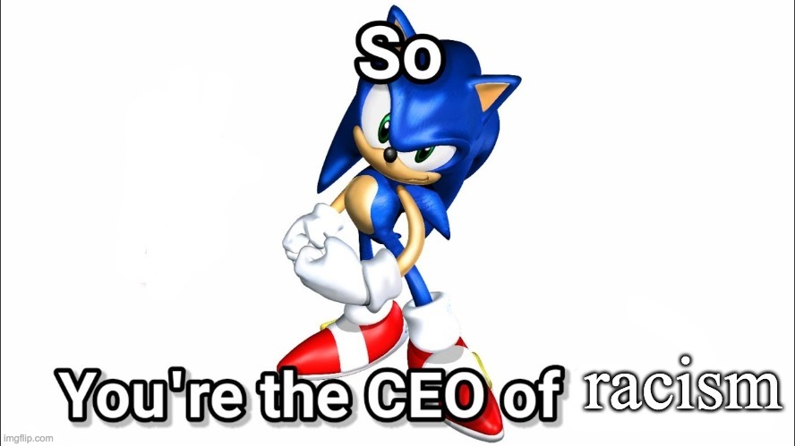 so you're the CEO of | racism | image tagged in so you're the ceo of | made w/ Imgflip meme maker