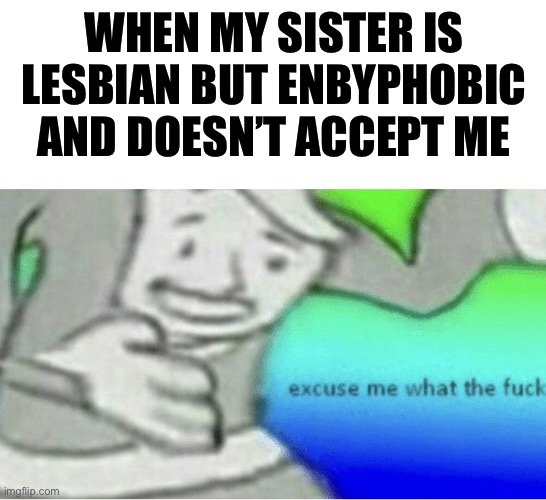 Seriously wtf | WHEN MY SISTER IS LESBIAN BUT ENBYPHOBIC AND DOESN’T ACCEPT ME | image tagged in excuse me wtf blank template,wtf,non binary | made w/ Imgflip meme maker
