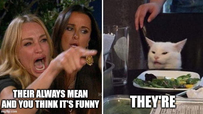 What it's like to lose in an arguement | THEIR ALWAYS MEAN AND YOU THINK IT'S FUNNY; THEY'RE | image tagged in angry lady cat | made w/ Imgflip meme maker