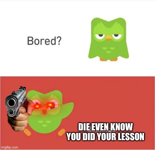 No | DIE EVEN KNOW YOU DID YOUR LESSON | image tagged in duolingo bored | made w/ Imgflip meme maker