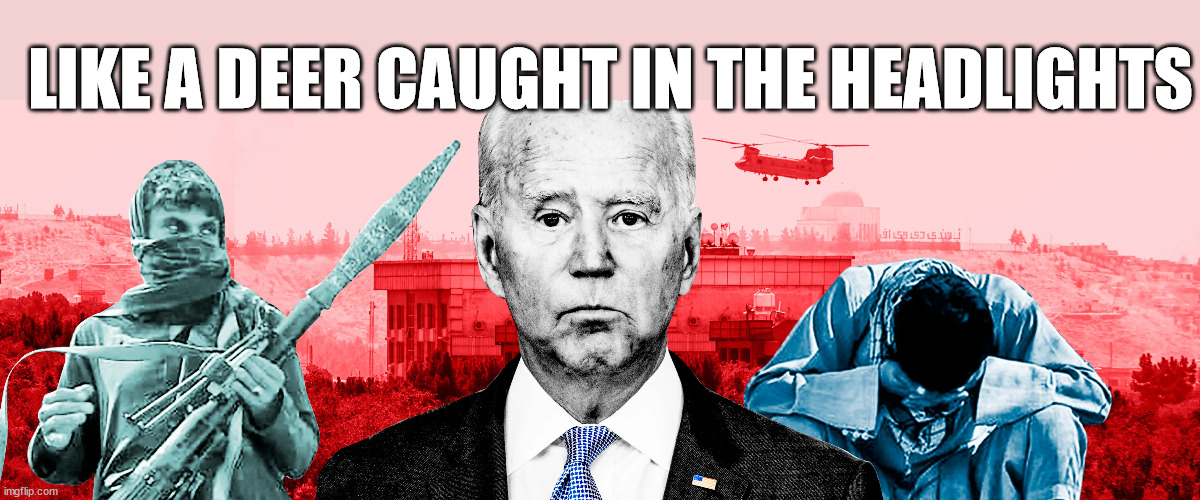 Idiot President | LIKE A DEER CAUGHT IN THE HEADLIGHTS | image tagged in joe biden | made w/ Imgflip meme maker