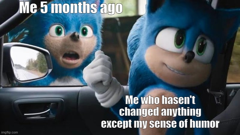 Sonic Movie Old vs New | Me 5 months ago; Me who hasen't changed anything except my sense of humor | image tagged in sonic movie old vs new | made w/ Imgflip meme maker