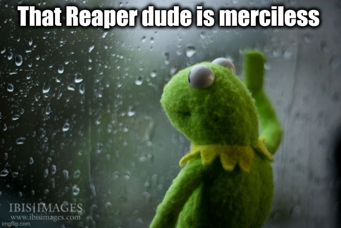kermit window | That Reaper dude is merciless | image tagged in kermit window | made w/ Imgflip meme maker