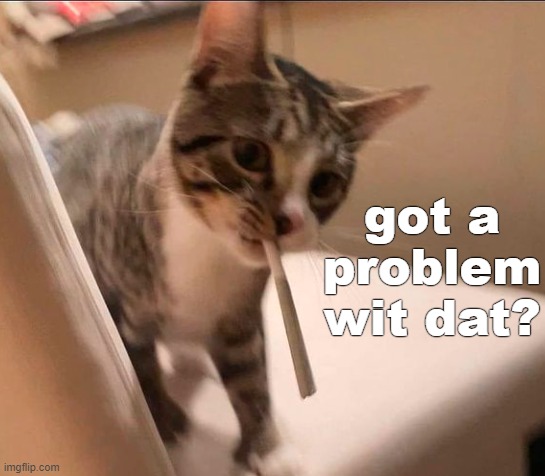 . | image tagged in got a problem wit dat cat | made w/ Imgflip meme maker