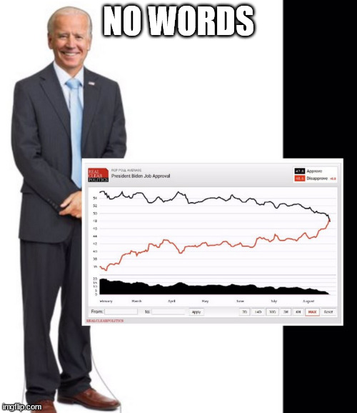 biden | NO WORDS | image tagged in biden | made w/ Imgflip meme maker