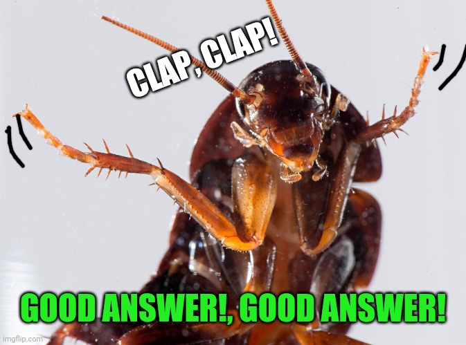 Cockroach | GOOD ANSWER!, GOOD ANSWER! CLAP, CLAP! | image tagged in cockroach | made w/ Imgflip meme maker