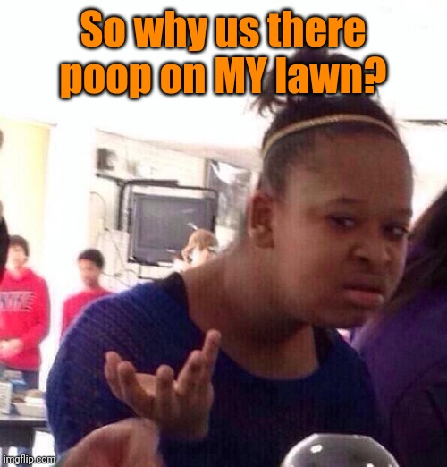 Black Girl Wat Meme | So why us there poop on MY lawn? | image tagged in memes,black girl wat | made w/ Imgflip meme maker