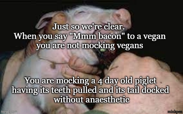 Bacon | image tagged in vegan,bacon,meat,pork,ham,farming | made w/ Imgflip meme maker