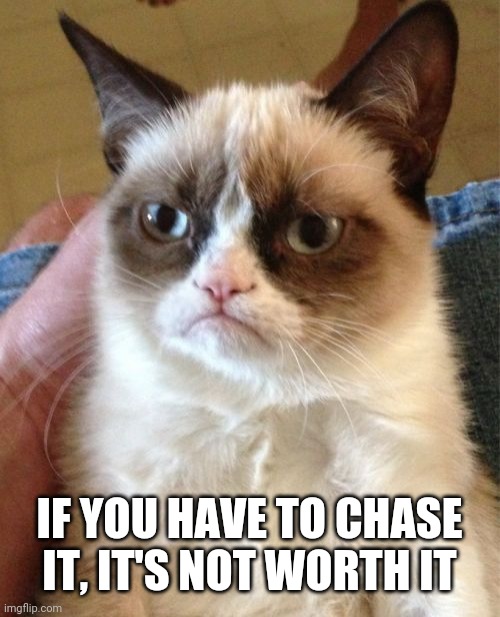 Grumpy Cat Meme | IF YOU HAVE TO CHASE IT, IT'S NOT WORTH IT | image tagged in memes,grumpy cat | made w/ Imgflip meme maker