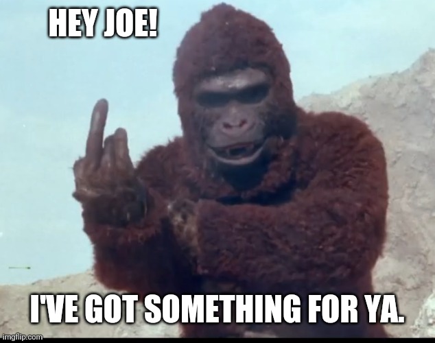 The Rare Gorilla Middle Finger | HEY JOE! I'VE GOT SOMETHING FOR YA. | image tagged in the rare gorilla middle finger | made w/ Imgflip meme maker