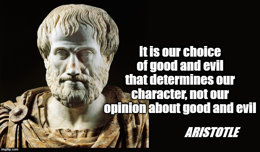 This advice has been around for 3k years and the libtards just don't get it. | It is our choice of good and evil that determines our character, not our opinion about good and evil | image tagged in artstotle,my brain my choice,good and evil | made w/ Imgflip meme maker