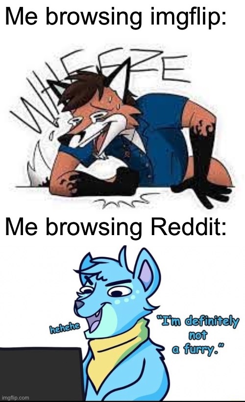 Link to where I got the image will be in the comments | Me browsing imgflip:; Me browsing Reddit: | image tagged in furry wheeze | made w/ Imgflip meme maker