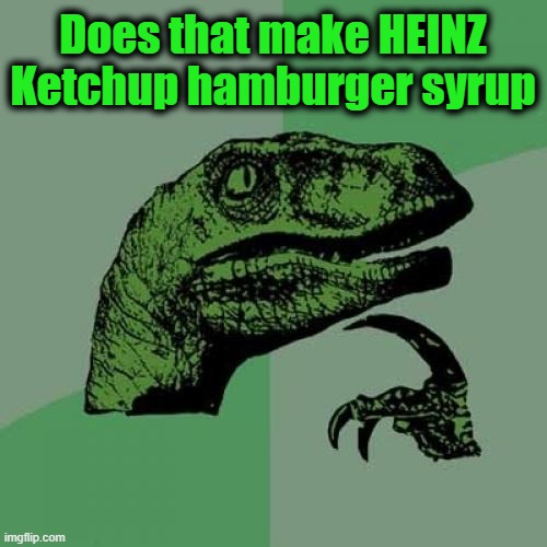 Philosoraptor Meme | Does that make HEINZ Ketchup hamburger syrup | image tagged in memes,philosoraptor | made w/ Imgflip meme maker