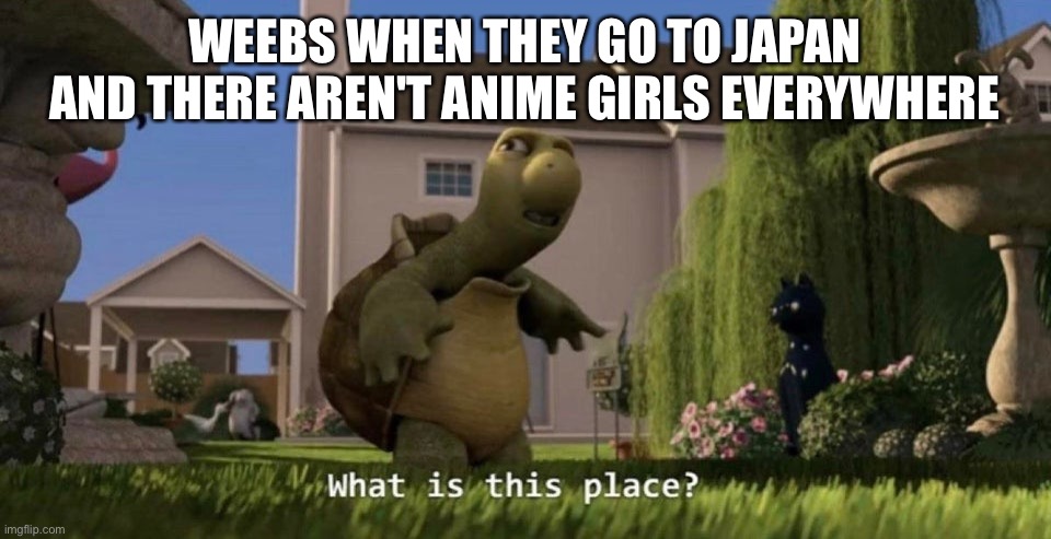If it's not made in Japan it's not an anime - Imgflip