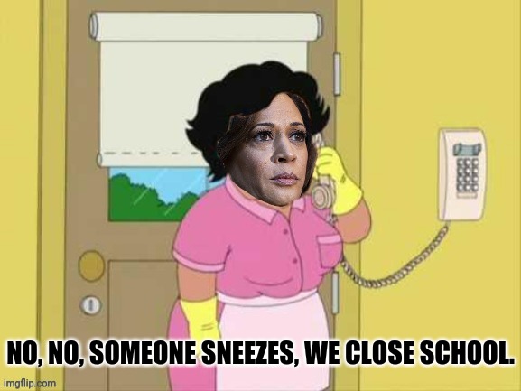 Consuela Harris | NO, NO, SOMEONE SNEEZES, WE CLOSE SCHOOL. | image tagged in consuela harris | made w/ Imgflip meme maker