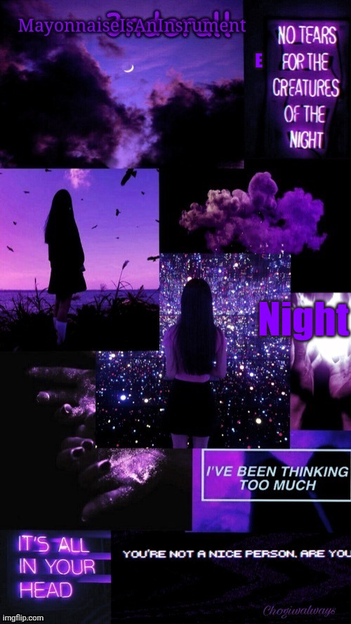 (Ty bean_child) MayonnaiseIsAnInsrument Black and purple temp | E; Night | image tagged in ty bean_child mayonnaiseisaninsrument black and purple temp | made w/ Imgflip meme maker