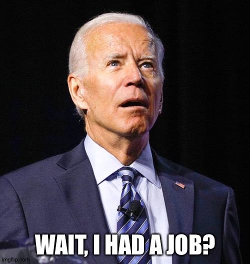 Joe Biden | WAIT, I HAD A JOB? | image tagged in joe biden | made w/ Imgflip meme maker