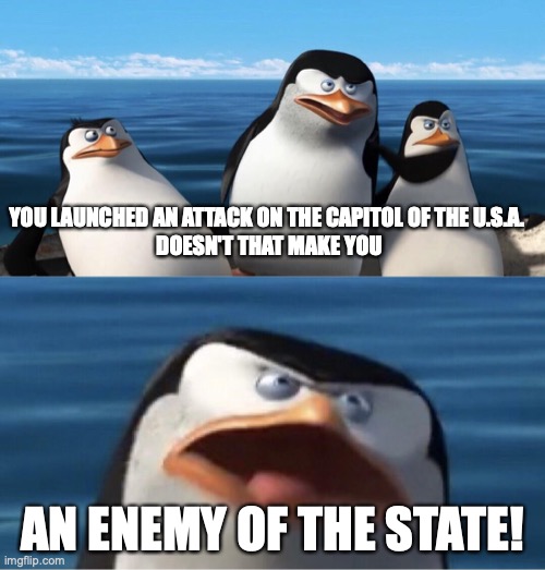 Wouldn't that make you | YOU LAUNCHED AN ATTACK ON THE CAPITOL OF THE U.S.A. 
DOESN'T THAT MAKE YOU; AN ENEMY OF THE STATE! | image tagged in wouldn't that make you | made w/ Imgflip meme maker