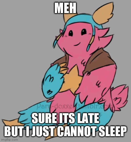 MEH; SURE ITS LATE BUT I JUST CANNOT SLEEP | made w/ Imgflip meme maker