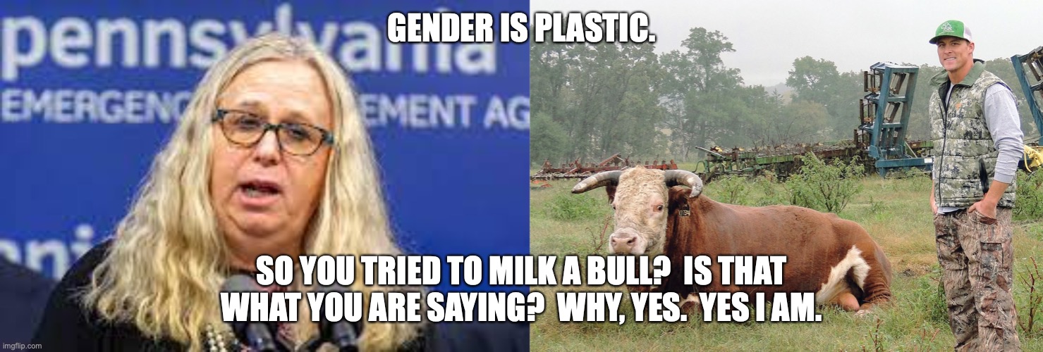Gender is Plastic | GENDER IS PLASTIC. SO YOU TRIED TO MILK A BULL?  IS THAT WHAT YOU ARE SAYING?  WHY, YES.  YES I AM. | image tagged in gender,pop culture | made w/ Imgflip meme maker
