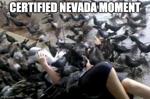 Certified Nevada Moment | CERTIFIED NEVADA MOMENT | image tagged in madness combat | made w/ Imgflip meme maker