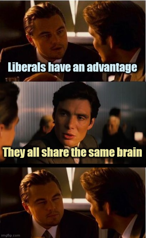 Inception Meme | Liberals have an advantage They all share the same brain | image tagged in memes,inception | made w/ Imgflip meme maker