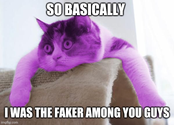 RayCat Stare | SO BASICALLY I WAS THE FAKER AMONG YOU GUYS | image tagged in raycat stare | made w/ Imgflip meme maker